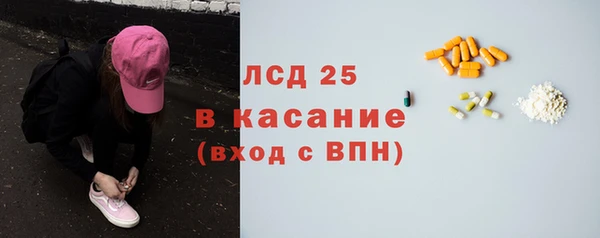 индика Касимов