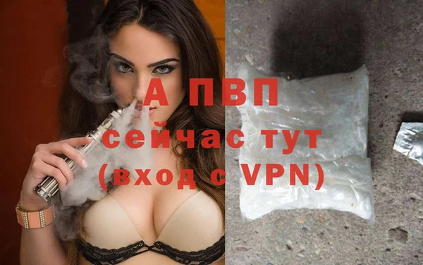 индика Касимов