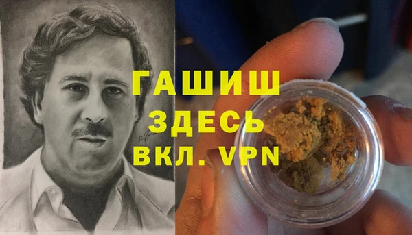 индика Касимов