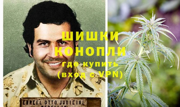 индика Касимов