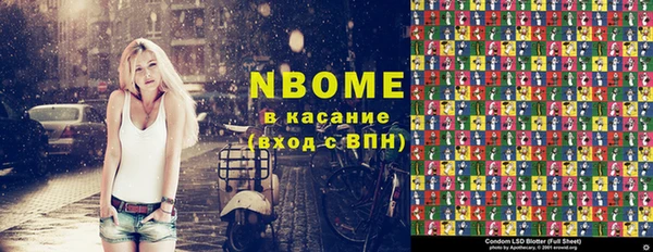 индика Касимов