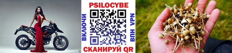 Псилоцибиновые грибы MAGIC MUSHROOMS  Купить  Опочка 